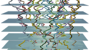 The coloured lines represent the location of deer through time (bottom to top). The horizontal sheets represent fields of biomass. See <a href="https://doi.org/10.1016/j.envsoft.2019.104553">this paper</a> for more information.